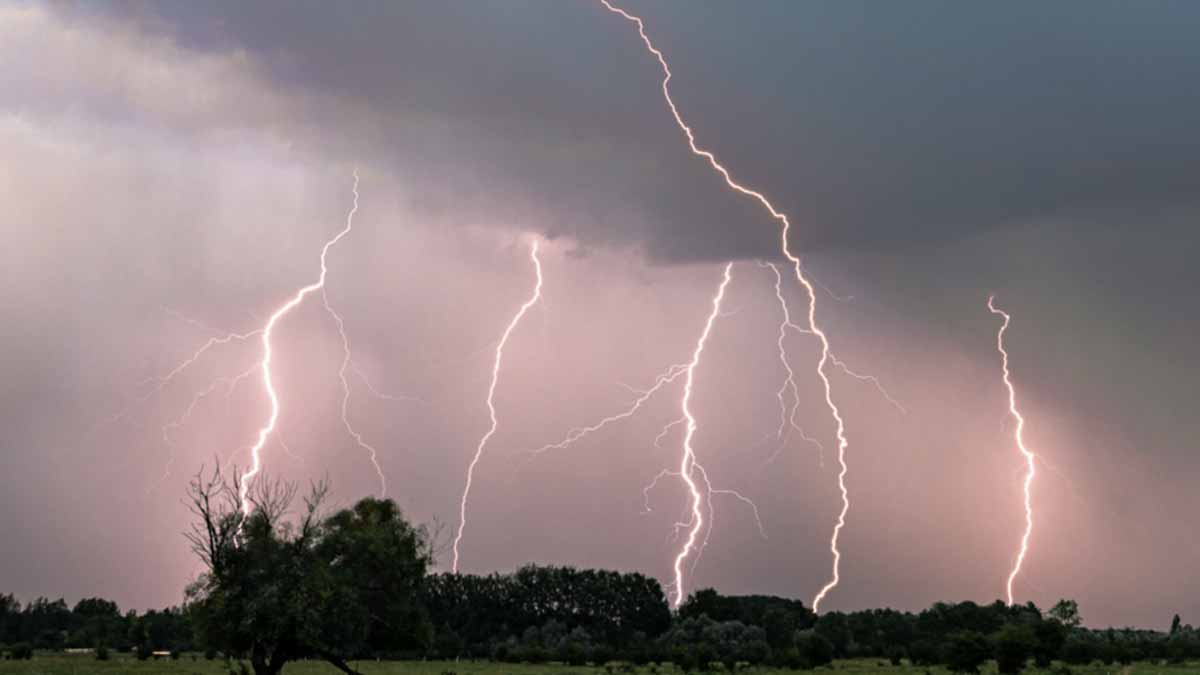 alerte météo