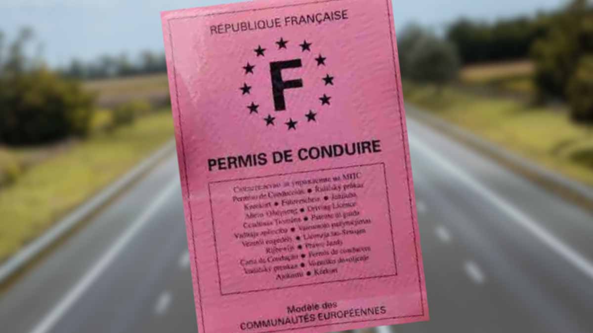 permis de conduire rose