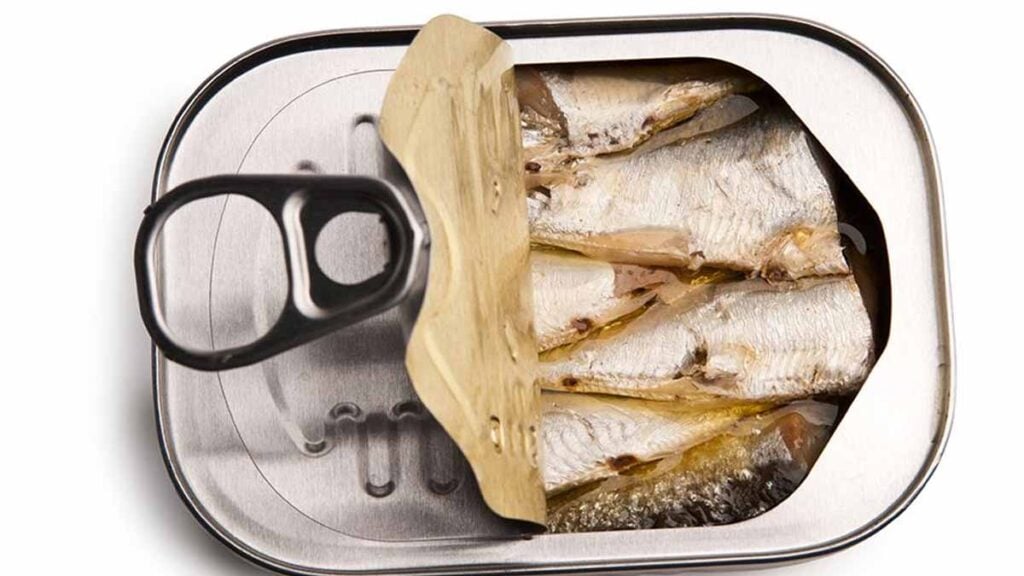 boîte de sardines