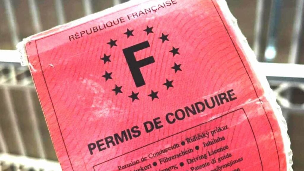 permis de conduire
