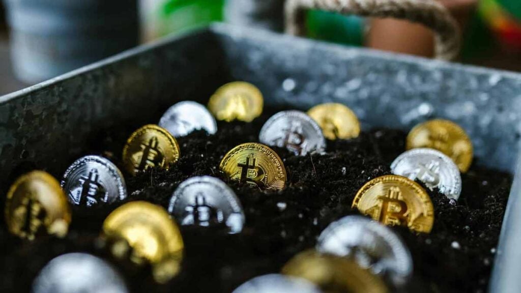 bitcoins