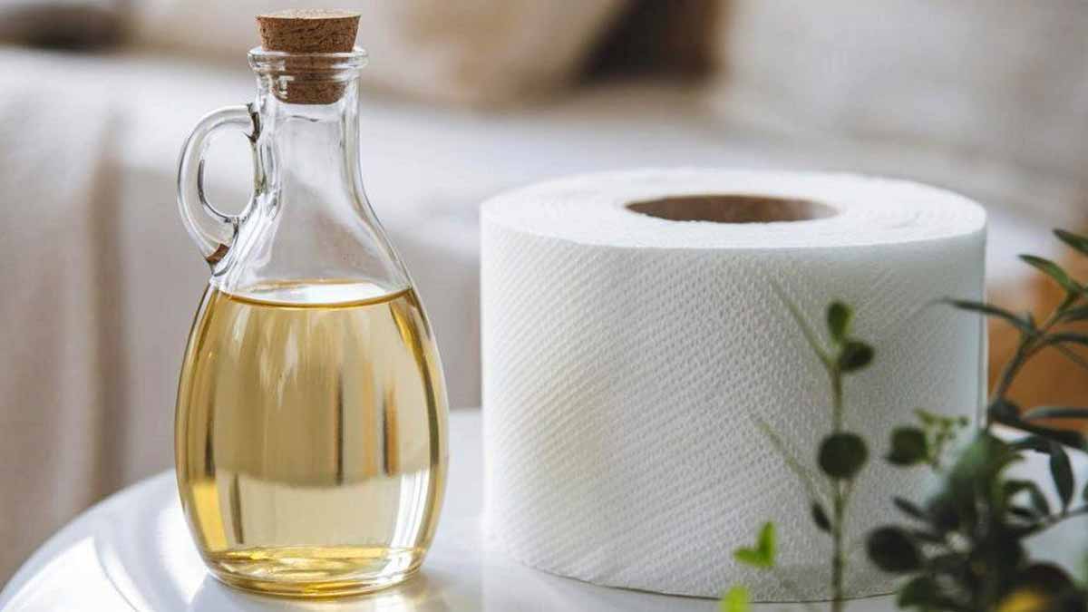 papier toilette avec du vinaigre