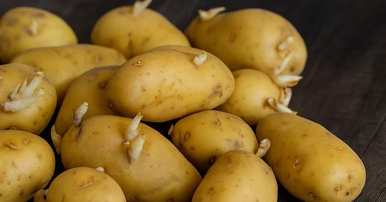 pommes