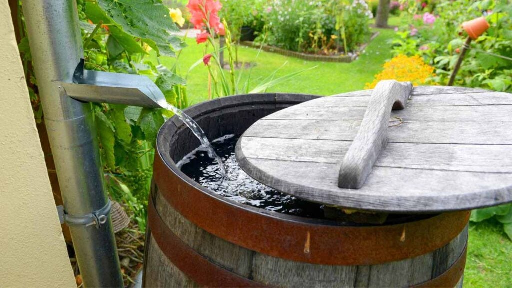 récupérateur d’eau